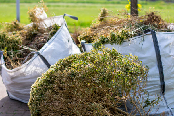 Best Yard Cleanup Services  in Bainbridge, OH